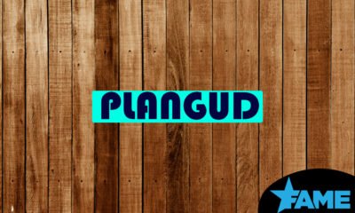 Plangud