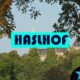 Haslhof