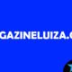 Magazineluiza.com