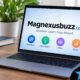 Magnexusbuzz.com