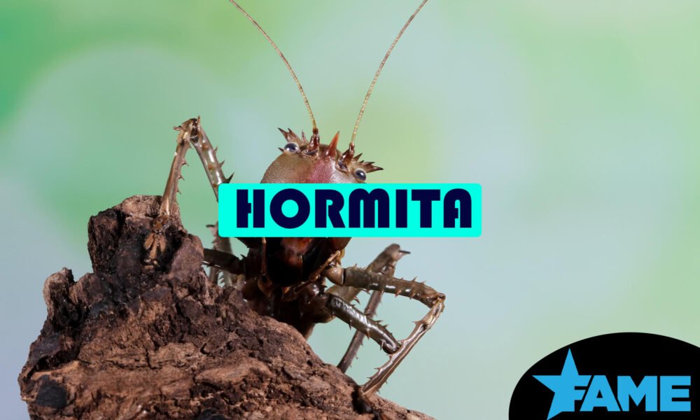Hormita